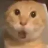 6666667