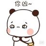 毕哥
