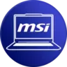 CrystalDiskInfo MSI Mei Mihoshi