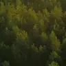 放松